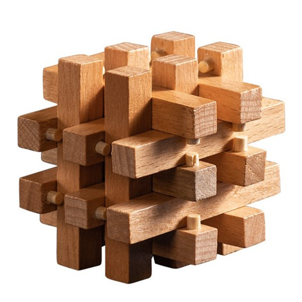 Interlocking Wooden Brain Teasers Pin Locker Puzzle