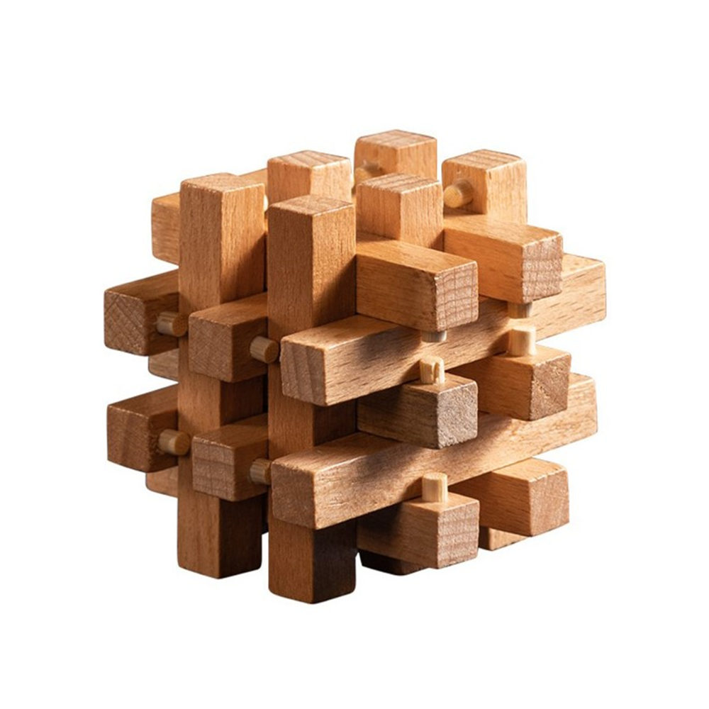 Interlocking Wooden Brain Teasers Pin Locker Puzzle