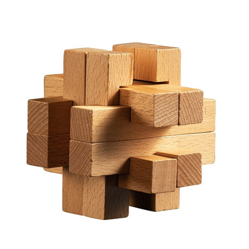 Interlocking Wooden Take Treasure Brain Teasers Puzzle